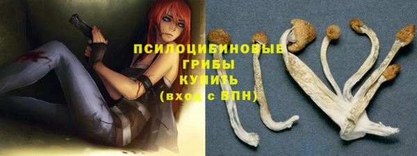 молекула духа Бугульма