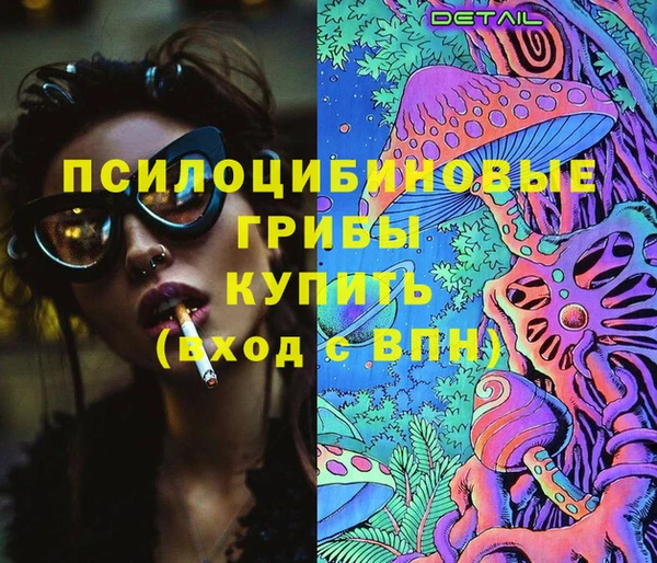 молекула духа Бугульма